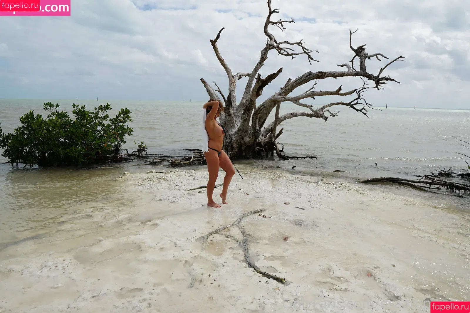 _ssweetdream_ / dreampixsxm Onlyfans Photo Gallery 