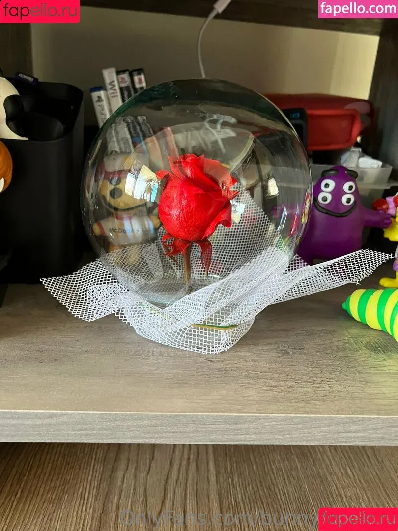 bunny_girl417 / ninja_girl_ Onlyfans Photo Gallery 