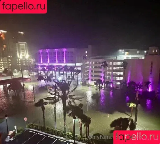 flbeachbuns Onlyfans Photo Gallery 