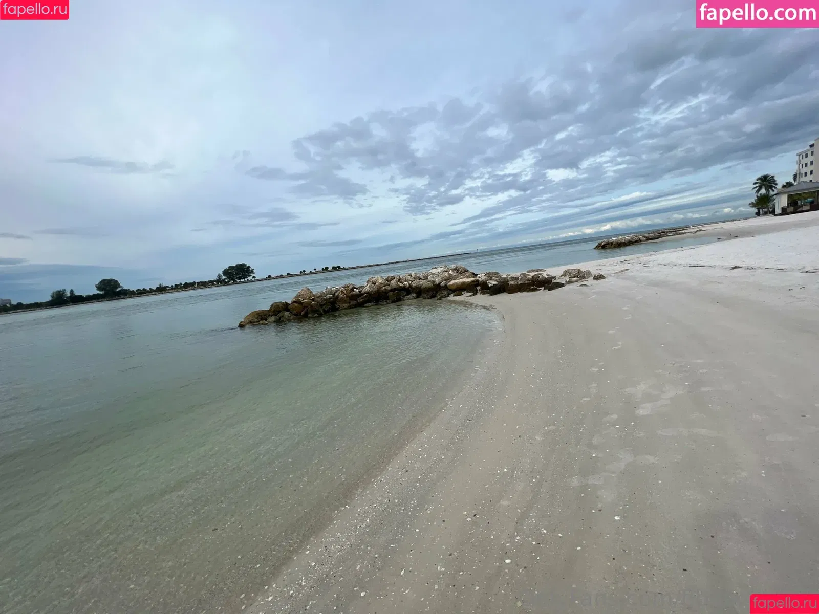 flbeachbuns Onlyfans Photo Gallery 