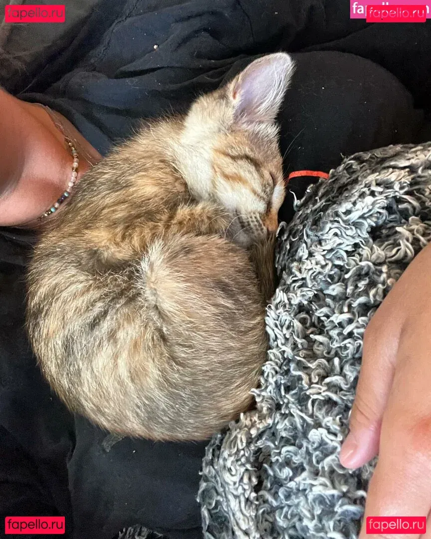 Scarlett Jade Onlyfans Photo Gallery 