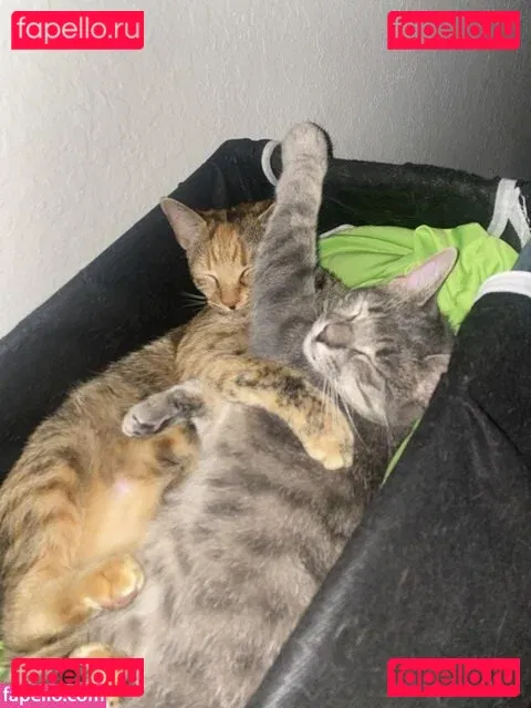 Scarlett Jade Onlyfans Photo Gallery 