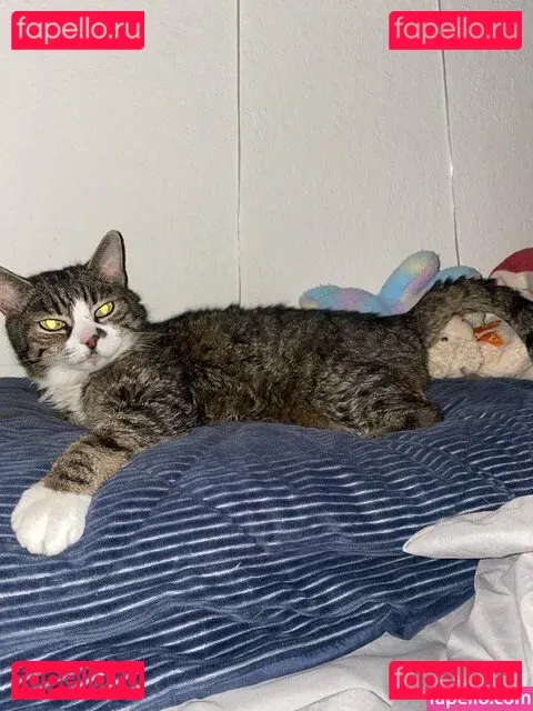 Scarlett Jade Onlyfans Photo Gallery 