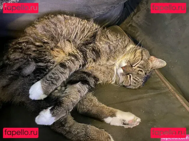 Scarlett Jade Onlyfans Photo Gallery 