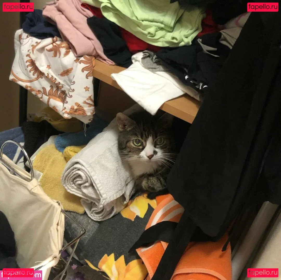 Scarlett Jade Onlyfans Photo Gallery 