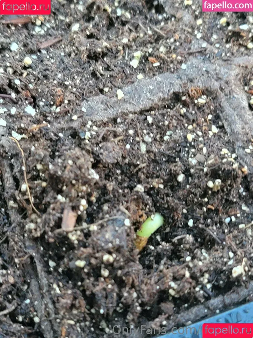 Deealice / its.dee.alice Onlyfans Photo Gallery 