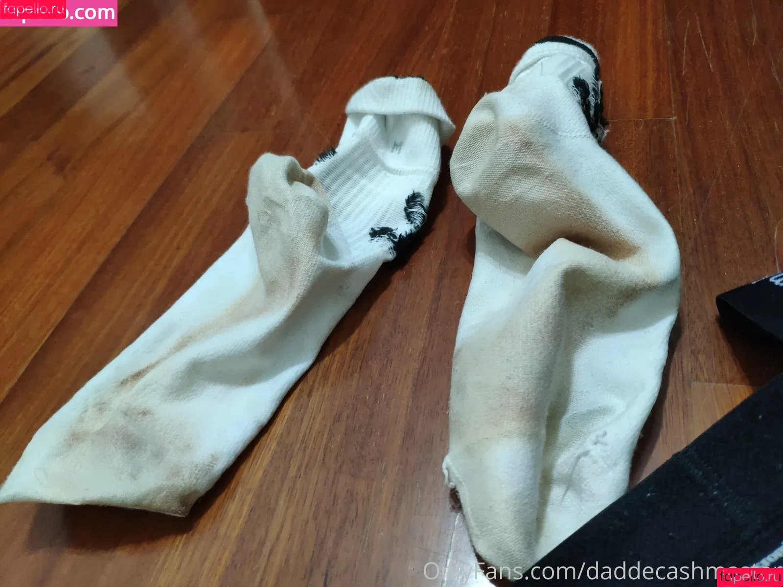 daddemaster Onlyfans Photo Gallery 