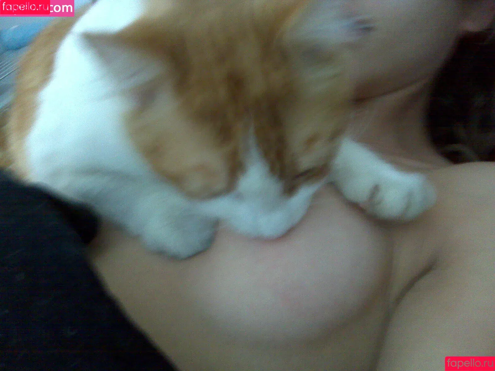 AnnaLynne McCord / IAMannalynnemcc / theannalynnemccord Onlyfans Photo Gallery 