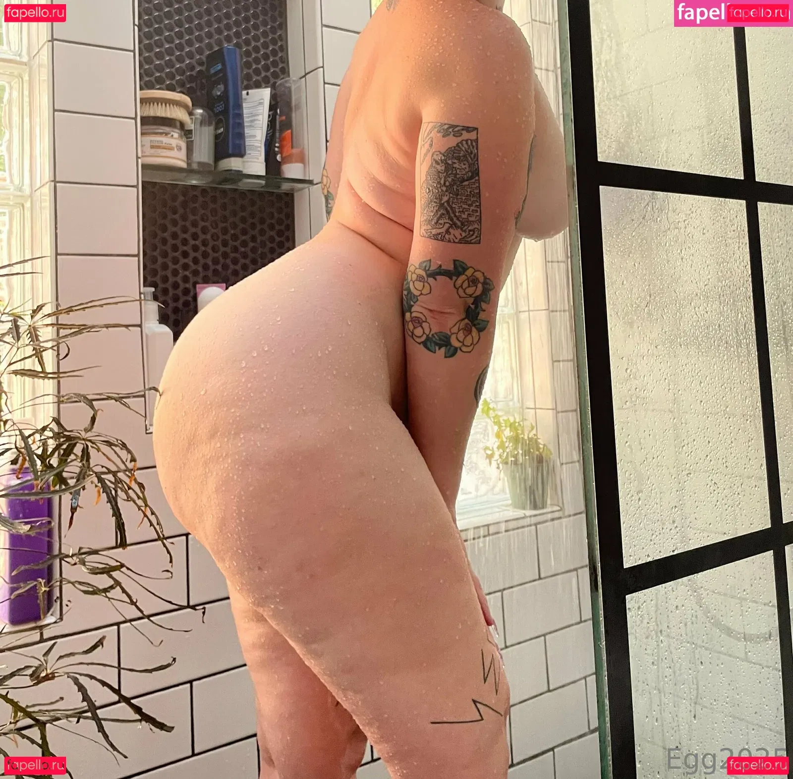 Therealegg2025 Onlyfans Photo Gallery 