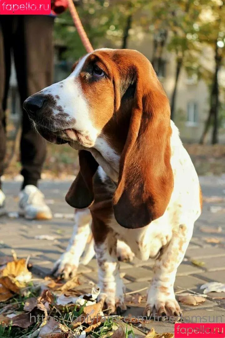 freedomdsun / freedomsun Onlyfans Photo Gallery 