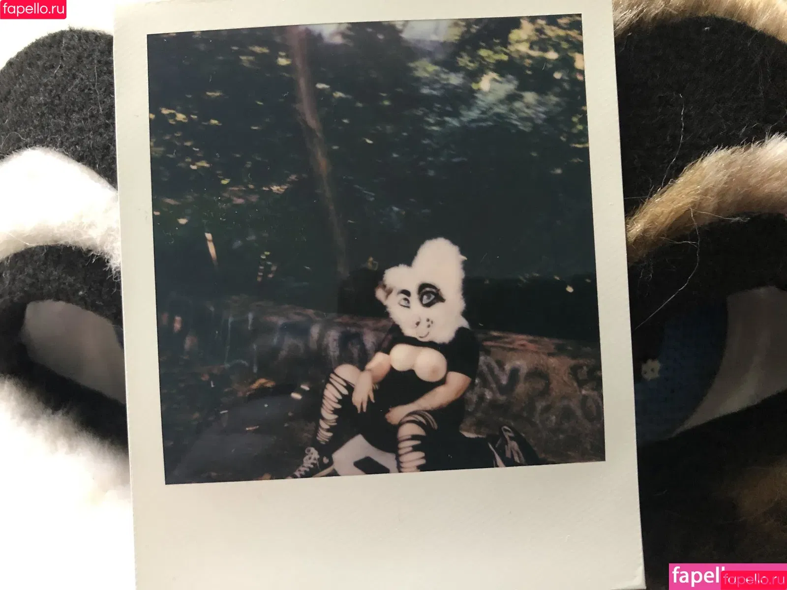 saoirsemutt / therealpineapplefox Onlyfans Photo Gallery 