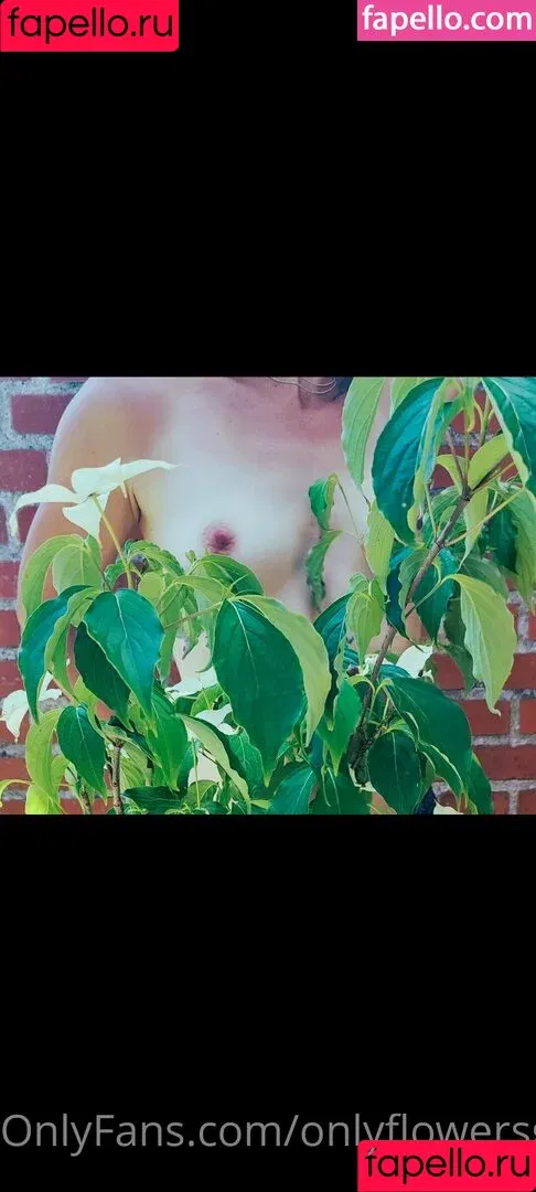 onlyflowersgirl / vibin_hippie_42069 Onlyfans Photo Gallery 