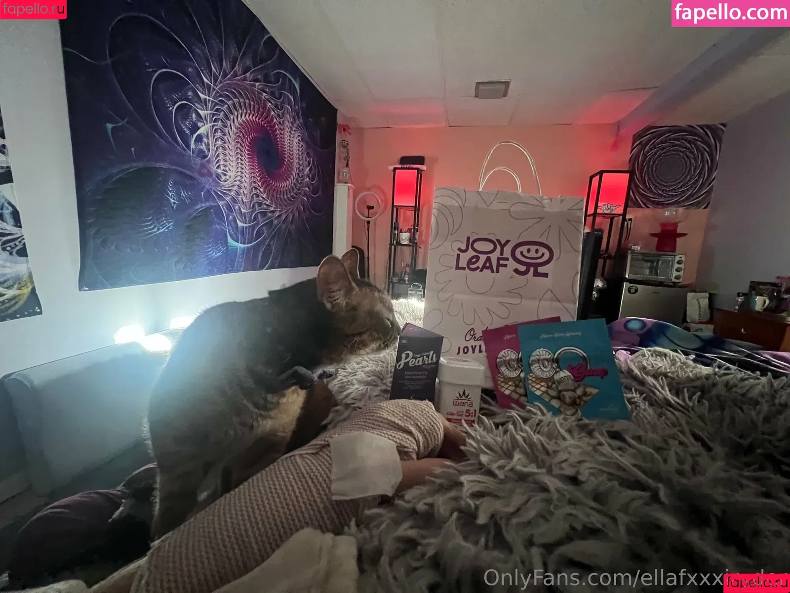 ellafxxxiryder Onlyfans Photo Gallery 