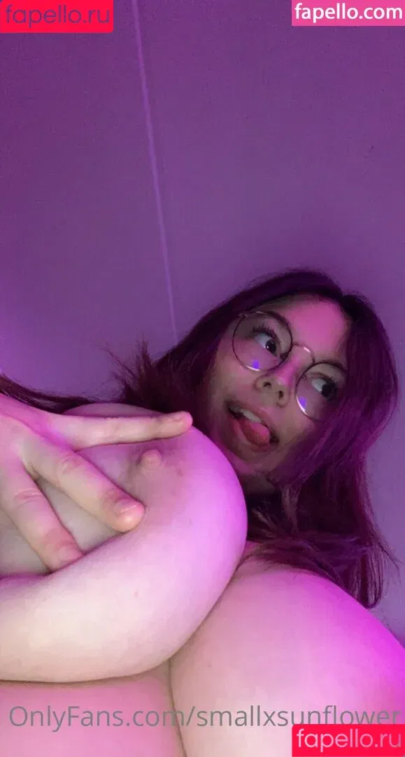 _xsunflower / smallsunfIower / smallxsunflower