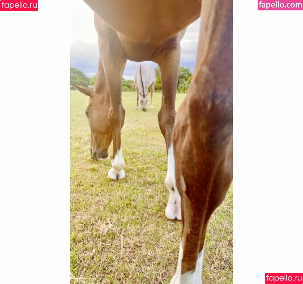 Kathryn / kathrynrae91 / kittiesvip Onlyfans Photo Gallery 