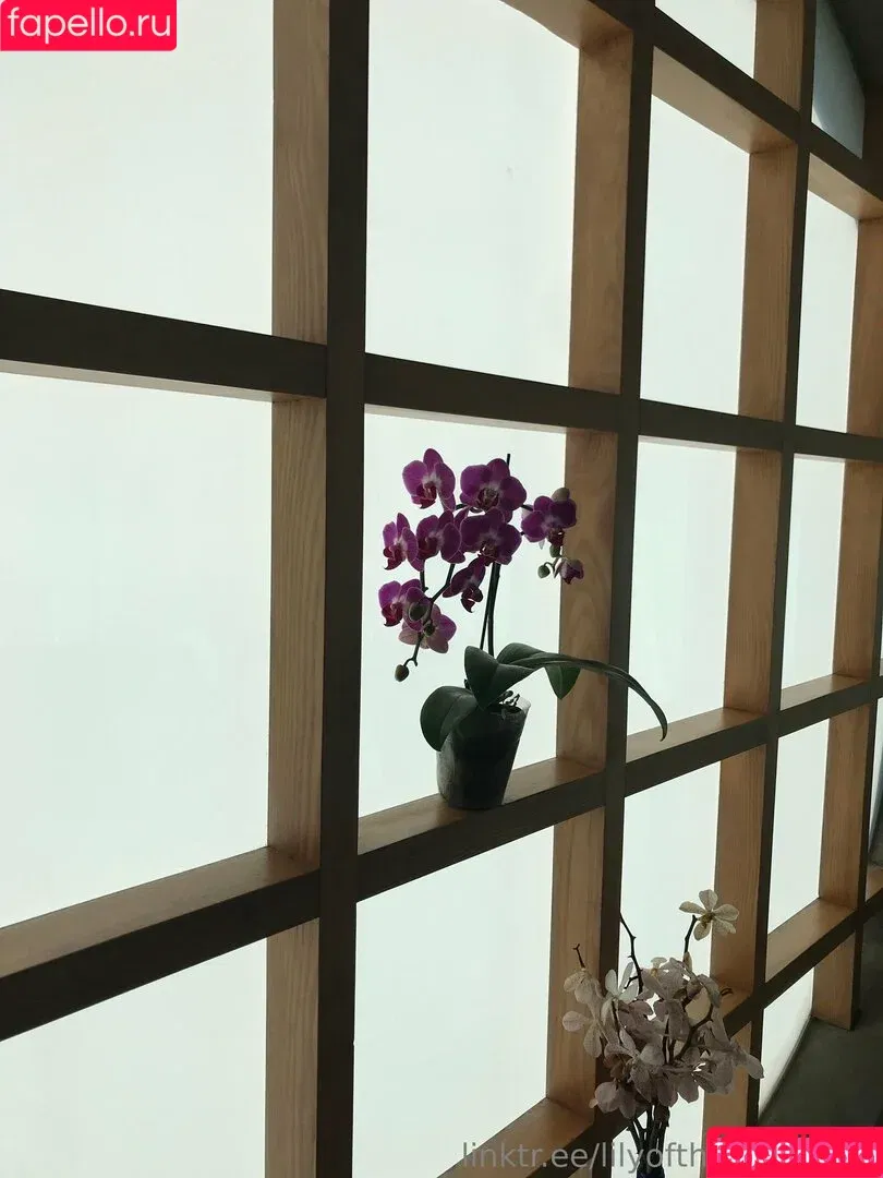 lilyofthevalleyyyy Onlyfans Photo Gallery 