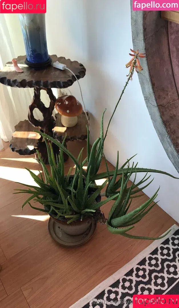 lilyofthevalleyyyy Onlyfans Photo Gallery 