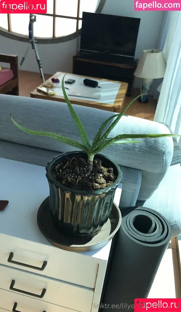 lilyofthevalleyyyy Onlyfans Photo Gallery 