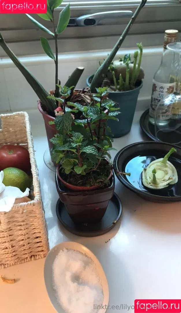 lilyofthevalleyyyy Onlyfans Photo Gallery 