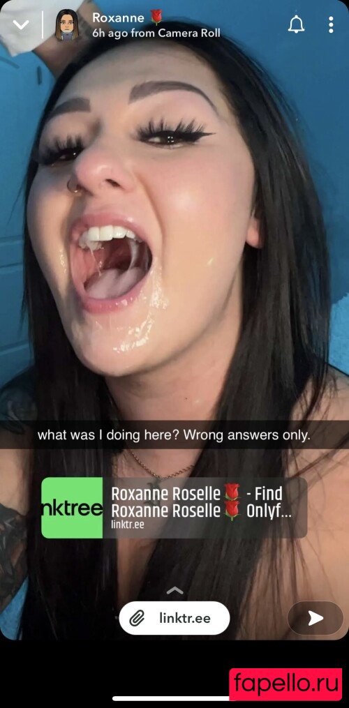 roxanne.rom.official Nude Onlyfans Photo 11