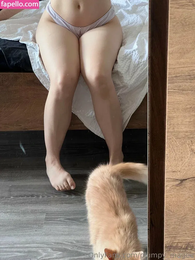 Plumpy_mage Onlyfans Photo Gallery 