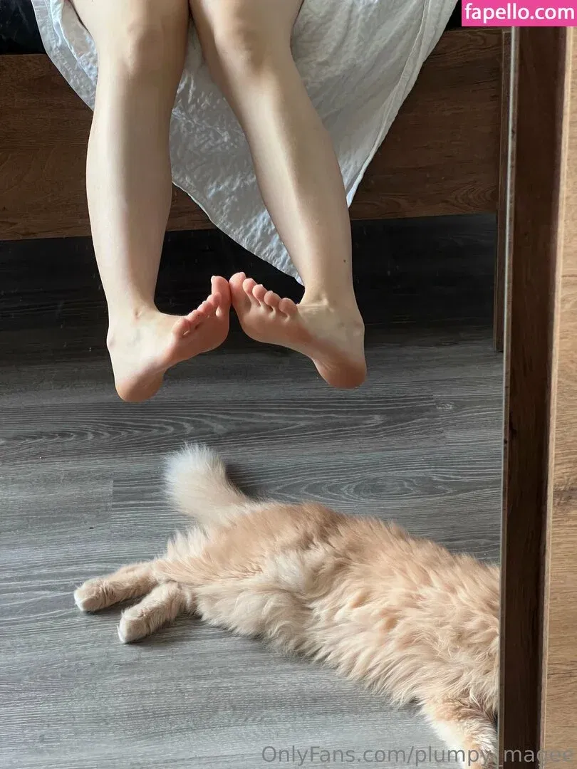 Plumpy_mage Onlyfans Photo Gallery 