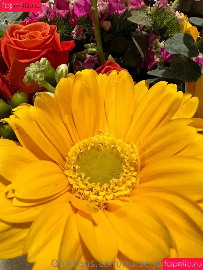 nurse.jenna.free / thejennajordyn Onlyfans Photo Gallery 