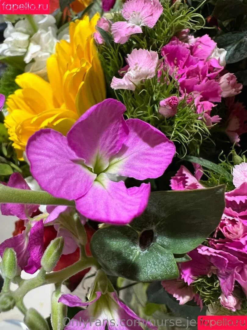 nurse.jenna.free / thejennajordyn Onlyfans Photo Gallery 