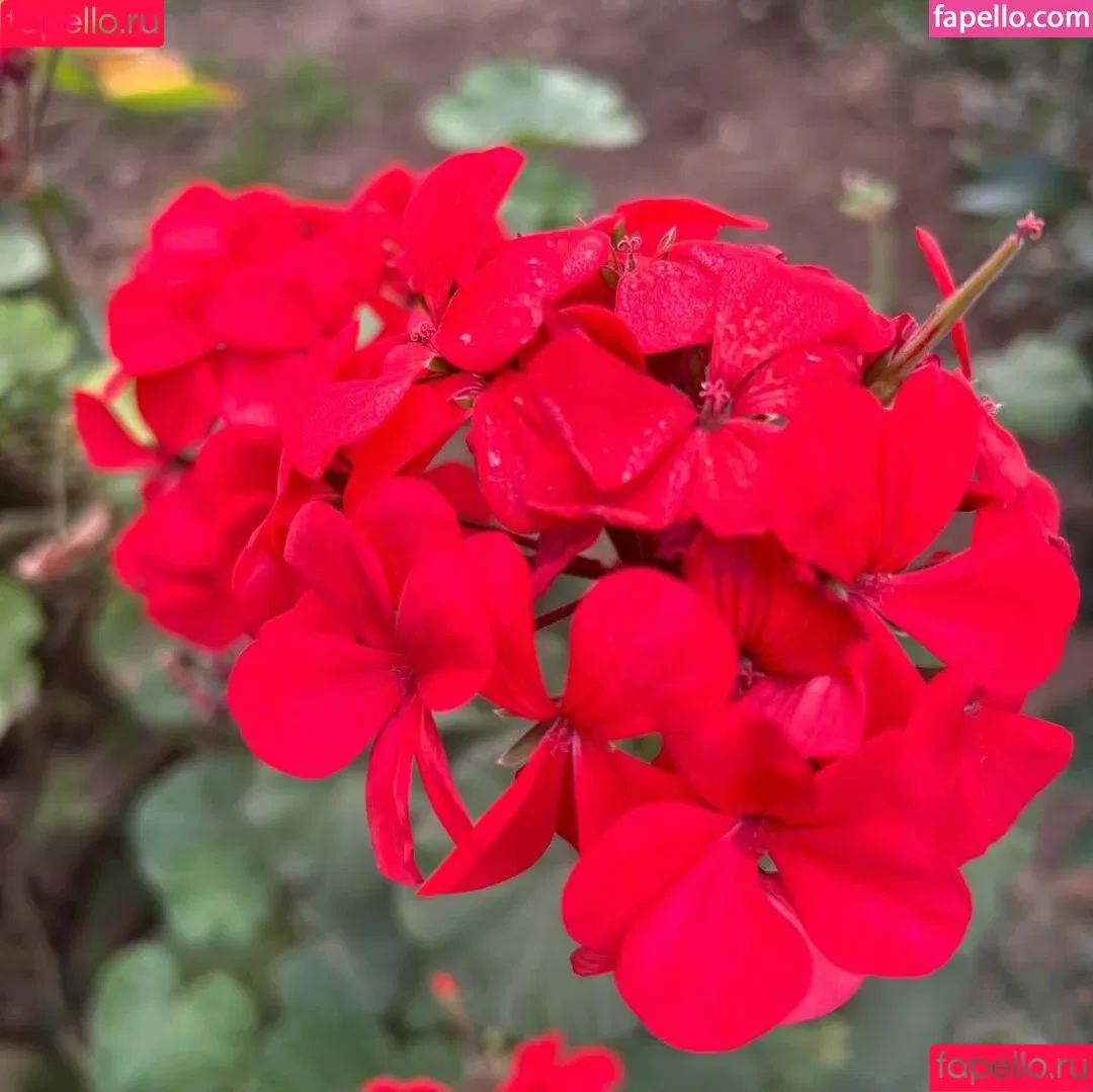 Hairy Luvo / https: / luvoba / luvooba Onlyfans Photo Gallery 