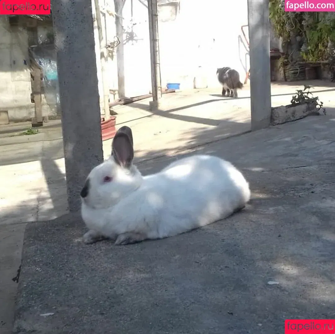 Hairy Luvo / https: / luvoba / luvooba Onlyfans Photo Gallery 