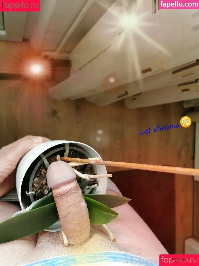 pe_sst / uwetdreams Onlyfans Photo Gallery 