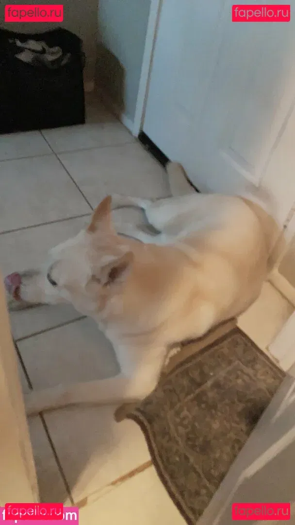 Gremlinbxtch Onlyfans Photo Gallery 