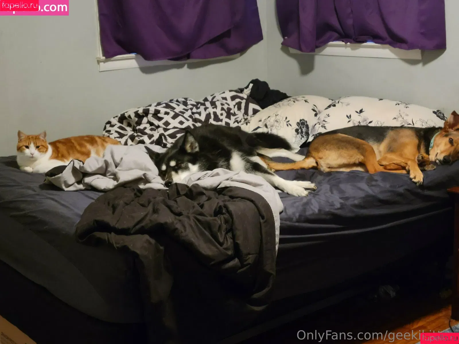 geekikitten / geekykittenxo Onlyfans Photo Gallery 