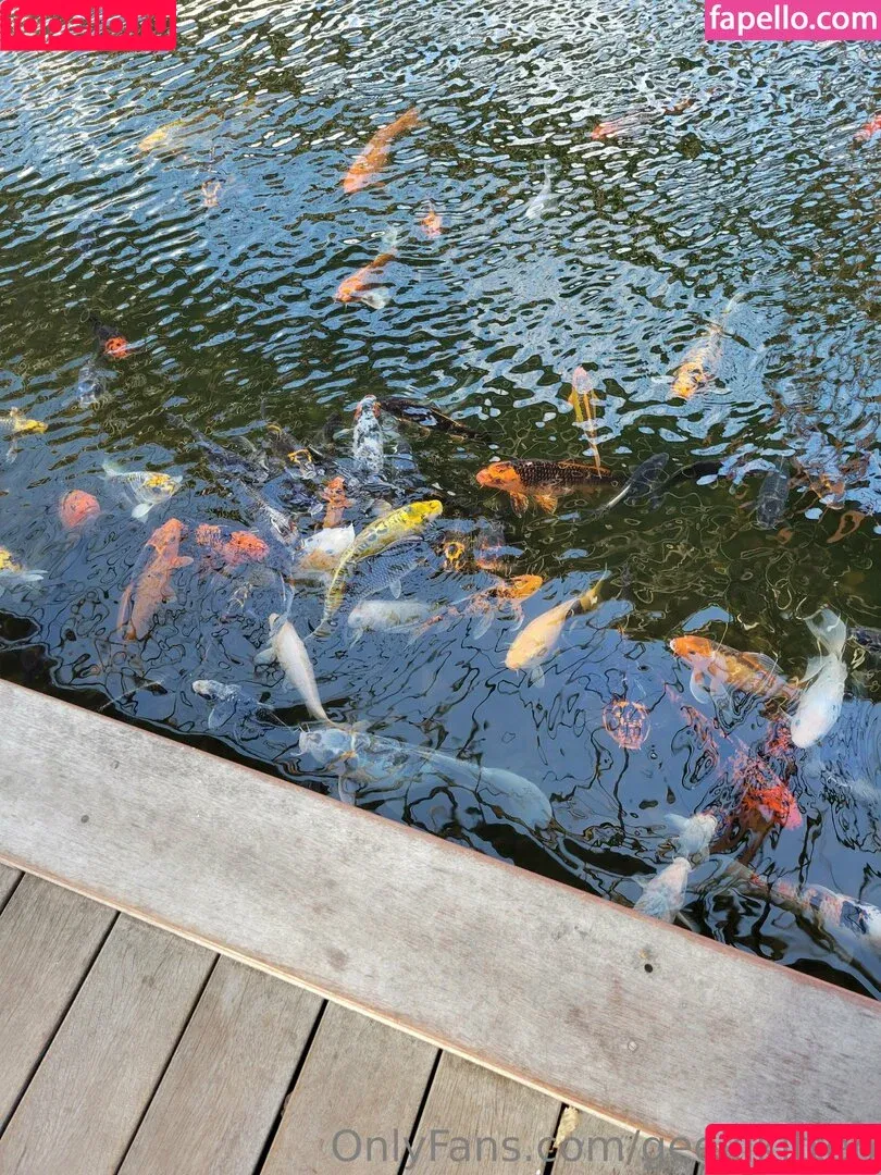 geekikitten / geekykittenxo Onlyfans Photo Gallery 