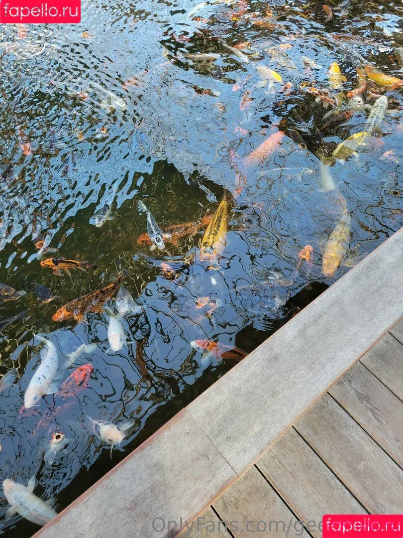 geekikitten / geekykittenxo Onlyfans Photo Gallery 