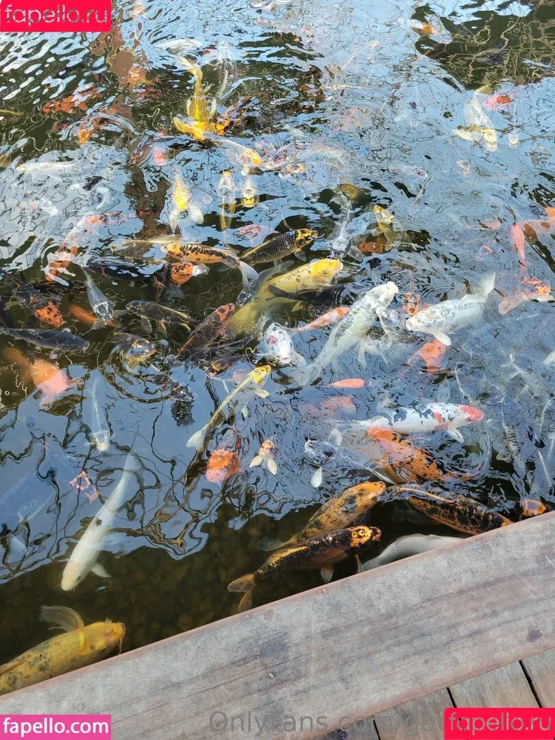 geekikitten / geekykittenxo Onlyfans Photo Gallery 