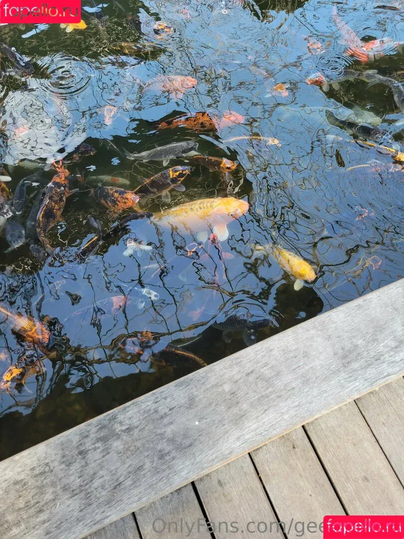 geekikitten / geekykittenxo Onlyfans Photo Gallery 