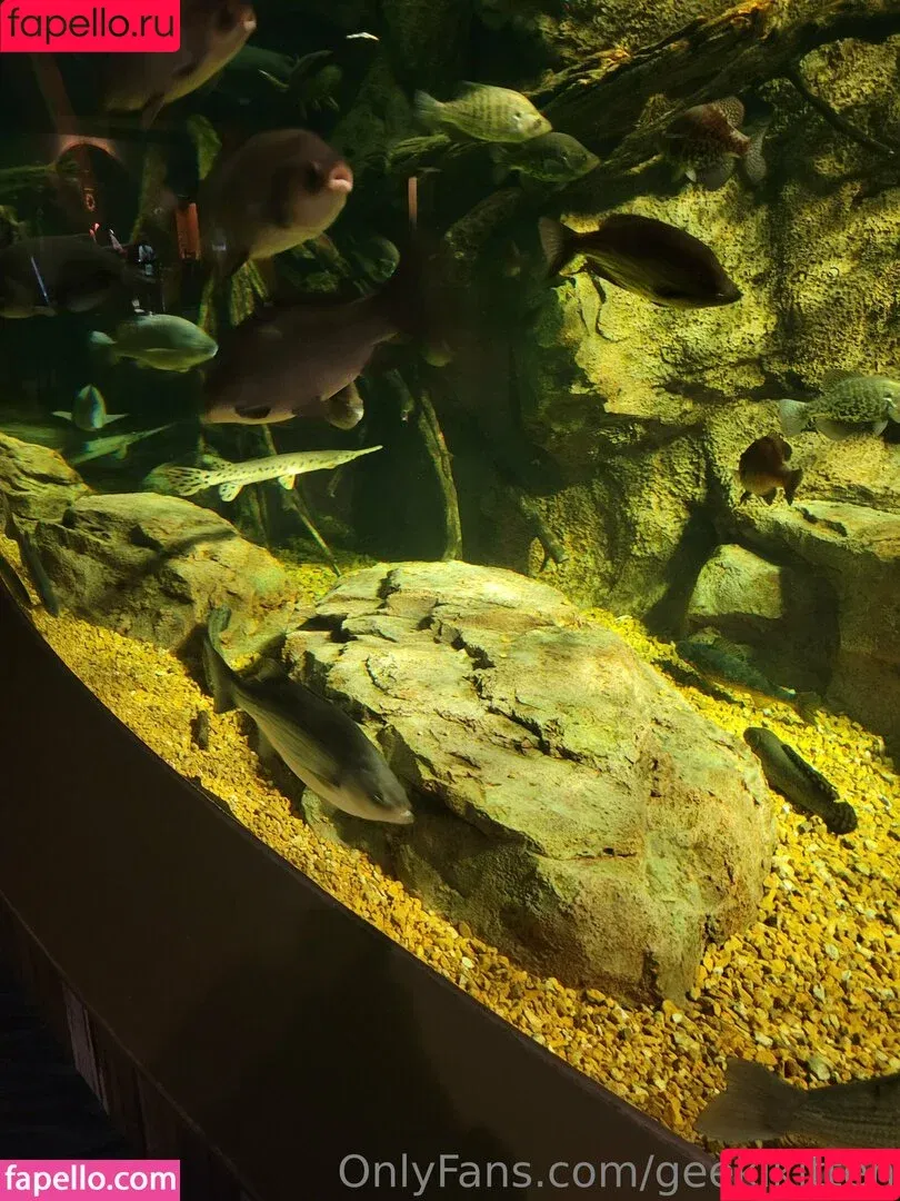 geekikitten / geekykittenxo Onlyfans Photo Gallery 