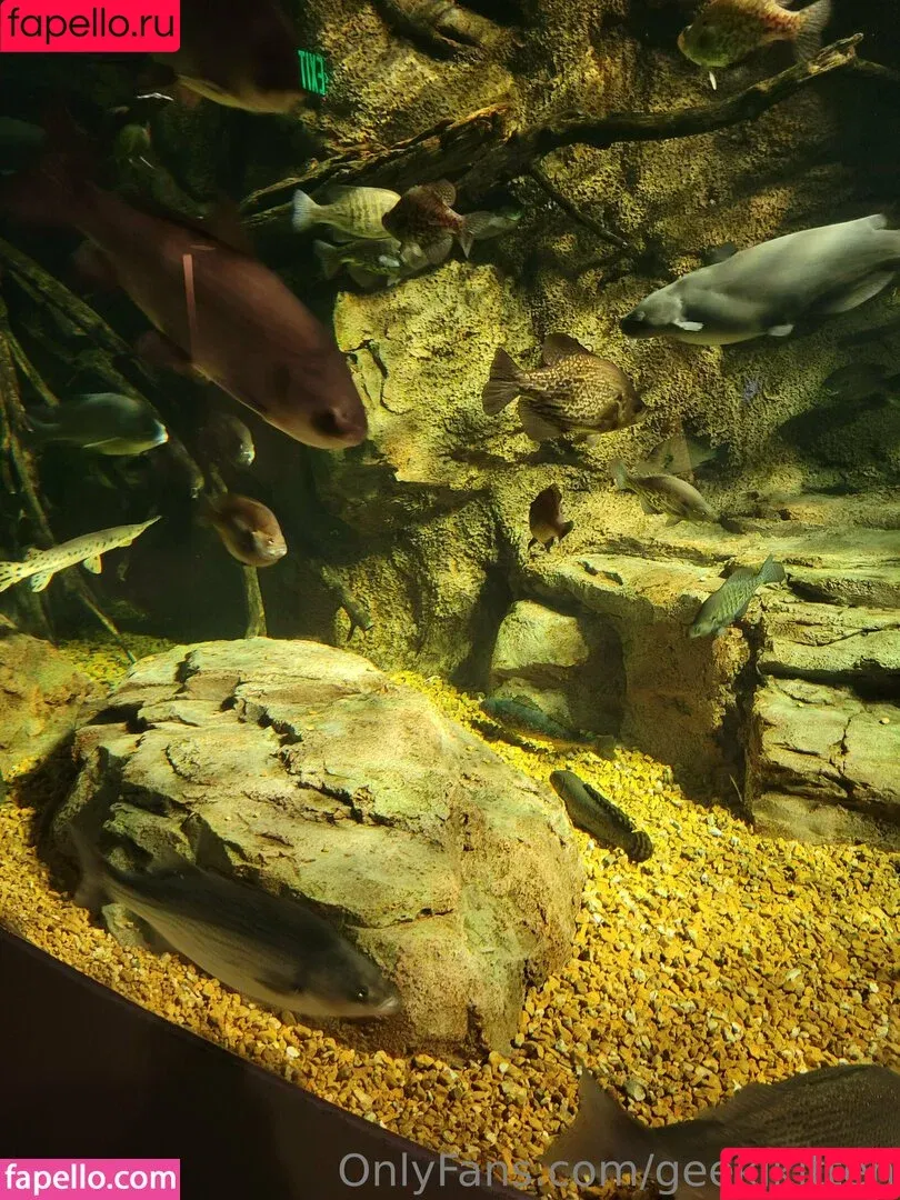 geekikitten / geekykittenxo Onlyfans Photo Gallery 