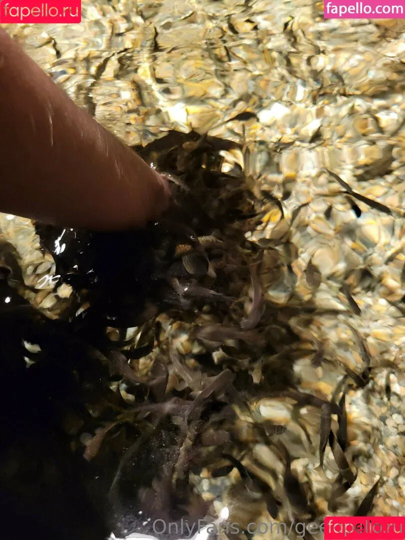 geekikitten / geekykittenxo Onlyfans Photo Gallery 