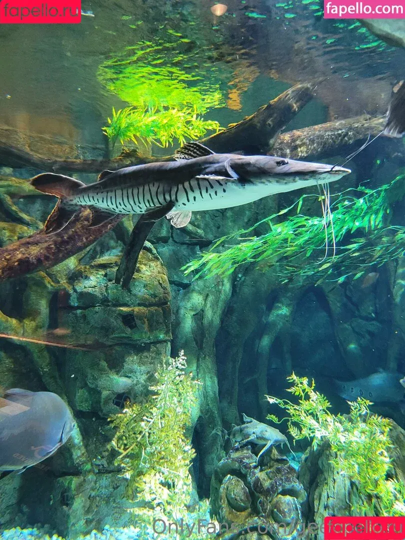 geekikitten / geekykittenxo Onlyfans Photo Gallery 