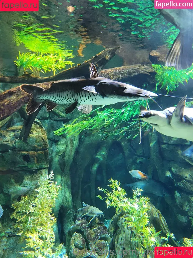 geekikitten / geekykittenxo Onlyfans Photo Gallery 