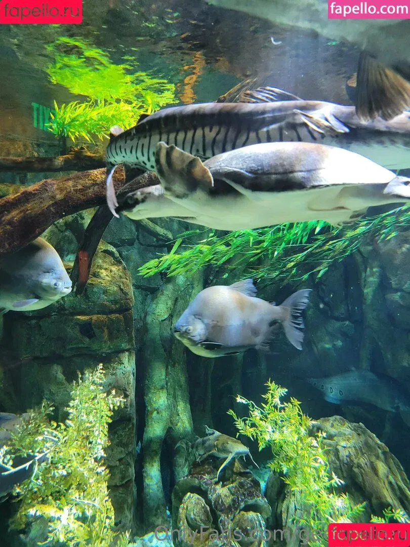 geekikitten / geekykittenxo Onlyfans Photo Gallery 