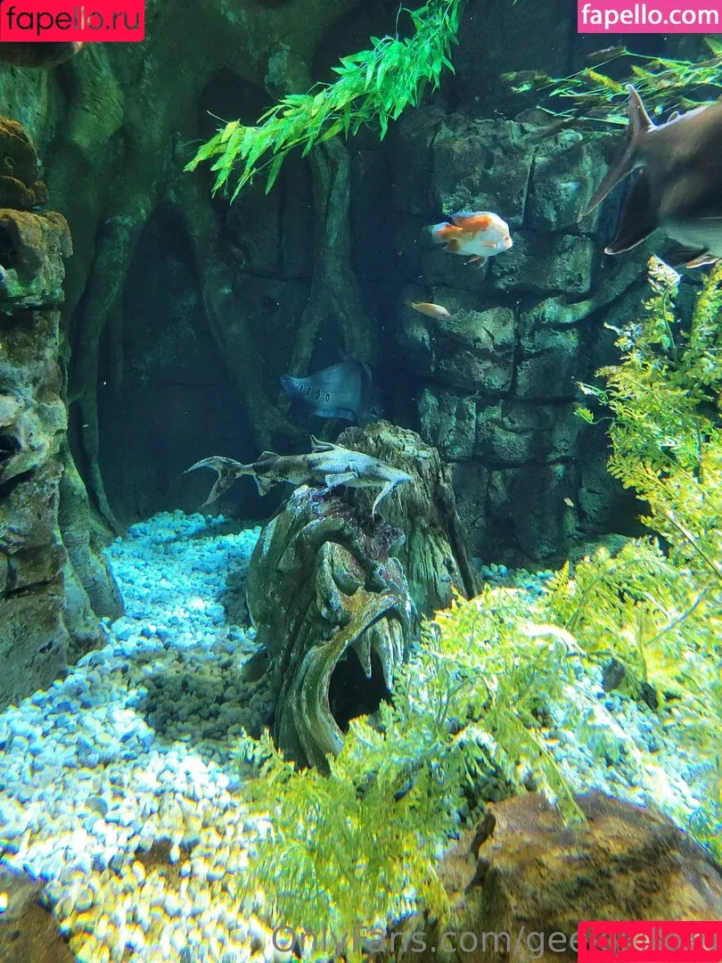 geekikitten / geekykittenxo Onlyfans Photo Gallery 