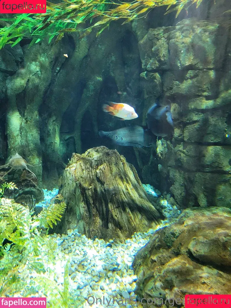 geekikitten / geekykittenxo Onlyfans Photo Gallery 