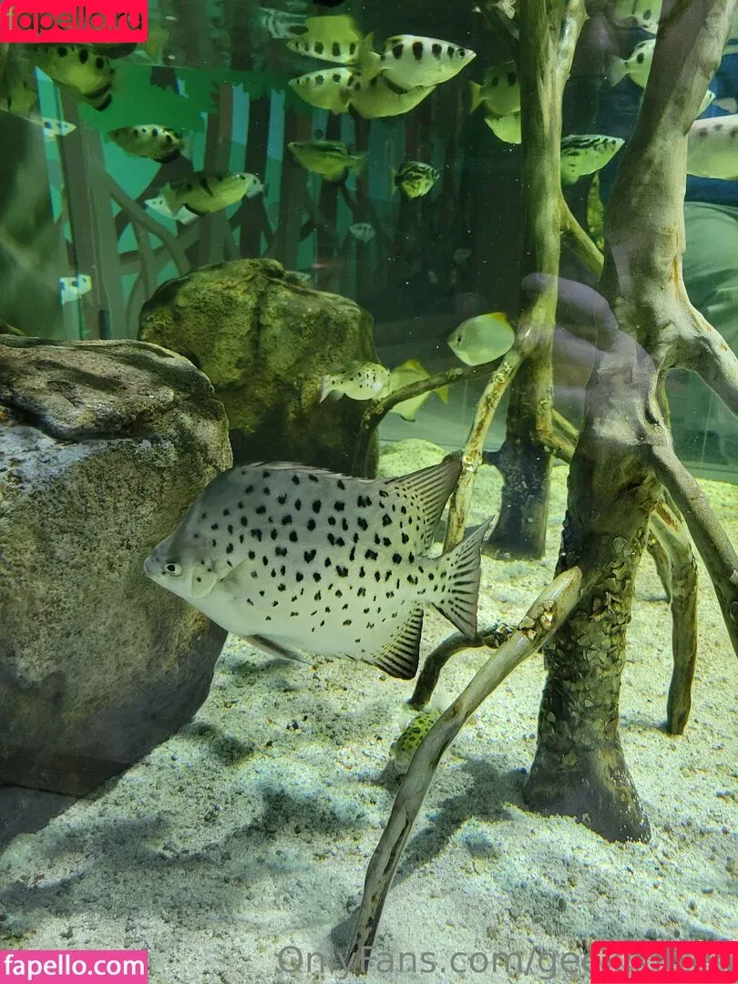 geekikitten / geekykittenxo Onlyfans Photo Gallery 