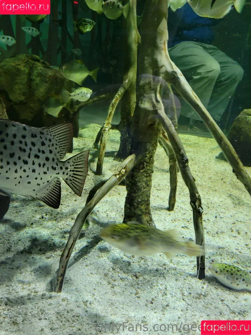 geekikitten / geekykittenxo Onlyfans Photo Gallery 