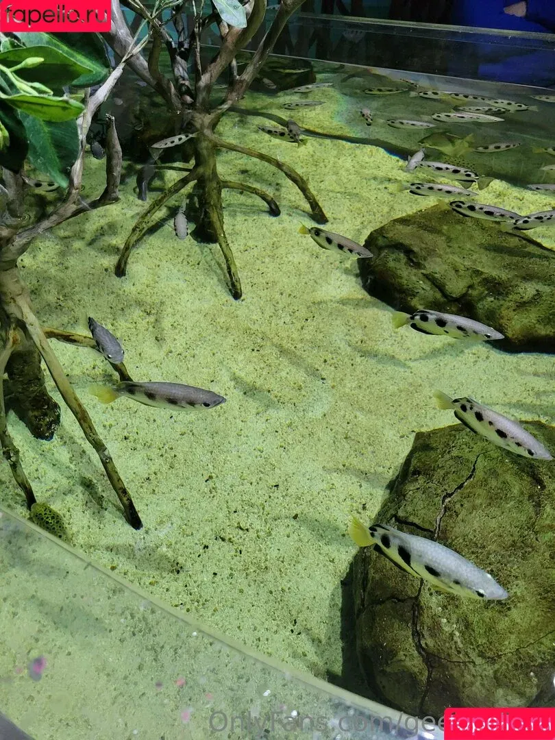 geekikitten / geekykittenxo Onlyfans Photo Gallery 