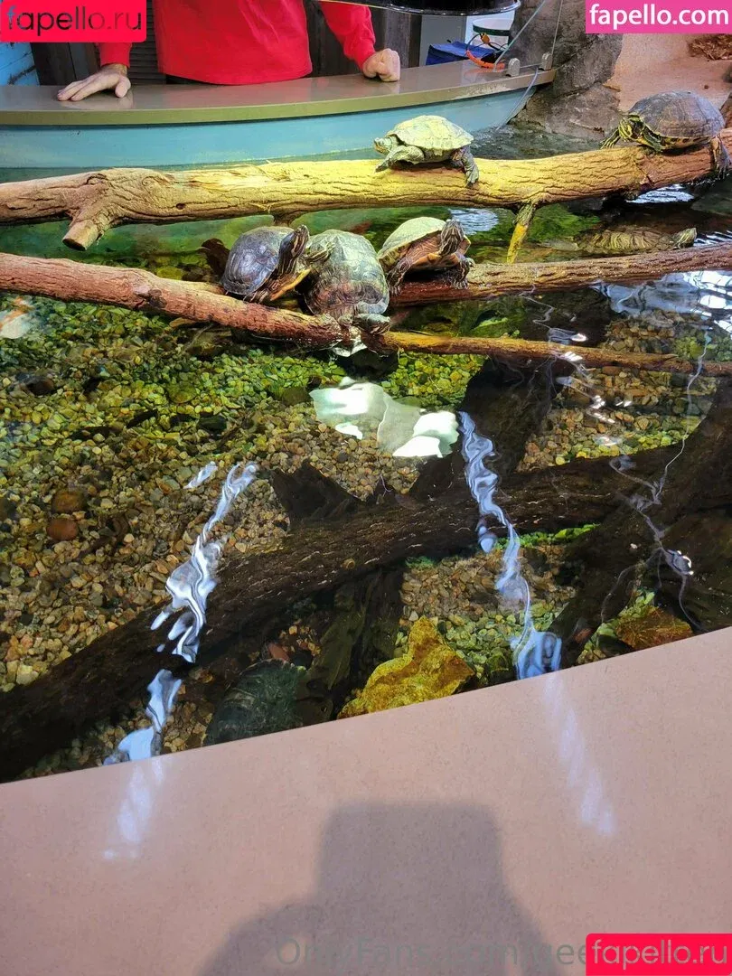 geekikitten / geekykittenxo Onlyfans Photo Gallery 