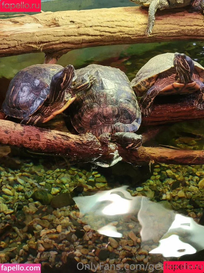 geekikitten / geekykittenxo Onlyfans Photo Gallery 